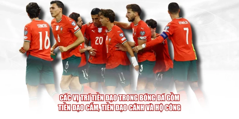 Các vị trí tiền đạo trong bóng đá gồm tiền đạo cắm, tiền đạo cánh và hộ công