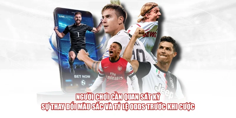 Người chơi cần quan sát kỹ sự thay đổi màu sắc và tỷ lệ Odds trước khi cược.